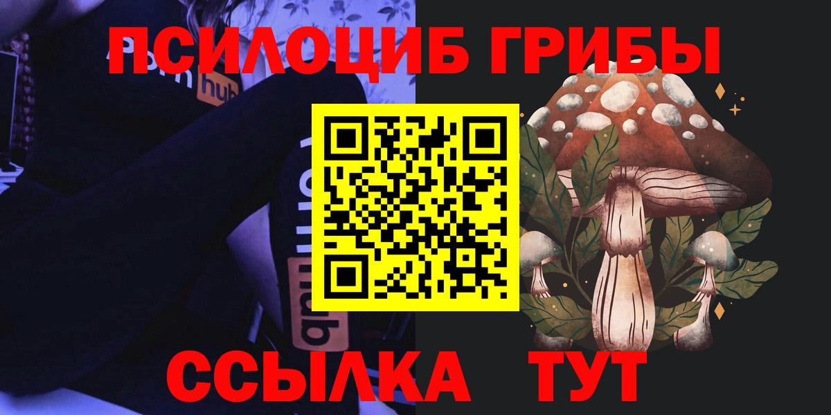 Псилоцибиновые грибы Magic Shrooms  Вход с VPN  Норильск 